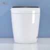 Bồn Cầu Điện Tử Holer HLBCTM-211