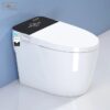 Bồn Cầu Điện Tử Holer HLBCTM-211