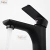 Vòi Lavabo Nóng Lạnh Đồng Sơn Tĩnh Điện Đen Holer HL-LB603