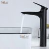 Vòi Lavabo Lạnh Đồng Sơn Tĩnh Điện Đen Cao 30cm Holer HL-LB690