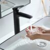 Vòi Lavabo Lạnh Đồng Sơn Tĩnh Điện Đen Cao 30cm Holer HL-LB690