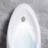 Bồn Tiểu Nam Treo Tường hoLer HLTN-03 (Phiên Bản Xả Nhấn)