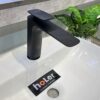 Vòi Lavabo Lạnh Đồng Sơn Tĩnh Điện Đen Holer HL-LB692