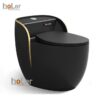 Bồn Cầu Trứng Đen Viền Vàng 1 Khối Holer HLBC257BY