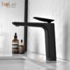 Vòi Lavabo Lạnh Đồng Sơn Tĩnh Điện Đen Holer HL-LB692