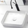 Chậu Lavabo Đặt Bàn Holer HL-LB400