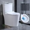 Bồn Cầu 1 Khối TTCERA BC079