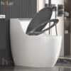 Bồn Cầu Trứng 1 Khối Holer HLBC265