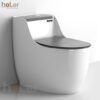 Bồn Cầu Trứng 1 Khối Holer HLBC265