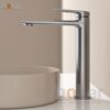 Vòi Lavabo Lạnh 30cm Đồng Sơn Tĩnh Điện Xám Holer HL-LB6101