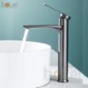 Vòi Lavabo Lạnh 30cm Đồng Sơn Tĩnh Điện Xám Holer HL-LB6101
