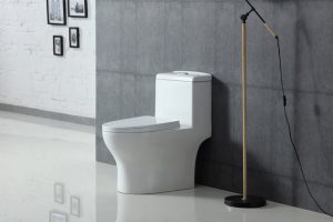 bồn cầu basic 1