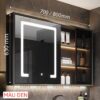 Tủ Gương Lavabo Nhựa PVC Cánh Led TTCERA TG11