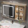 Tủ Gương Lavabo Nhựa PVC Cánh Led TTCERA TG11