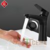 Vòi Lavabo Lạnh Inox Sơn Tĩnh Điện Đen Cao 20cm TTCERA LB272