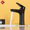 Vòi Lavabo Lạnh Inox Sơn Tĩnh Điện Đen Cao 20cm TTCERA LB272