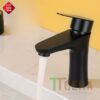 Vòi Lavabo Lạnh Inox Sơn Tĩnh Điện Đen Cao 20cm TTCERA LB272