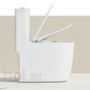 Bồn Cầu 1 Khối Holer HLBC287