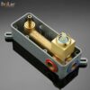 Vòi Lavabo Âm Tường Đồng Thau Mạ Vàng Mờ HoLer HL-LBA613