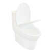 Bồn Cầu 1 Khối Holer HLBC288