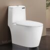 Bồn Cầu 1 Khối Holer HLBC278