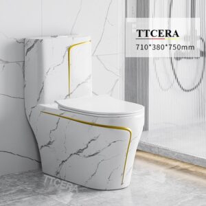 Bồn Cầu 1 Khối Vân Đá TTCERA BC046