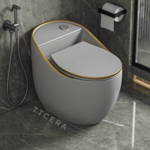 Bồn Cầu Trứng 1 Khối Xám Viền Vàng TTCERA BC017GY