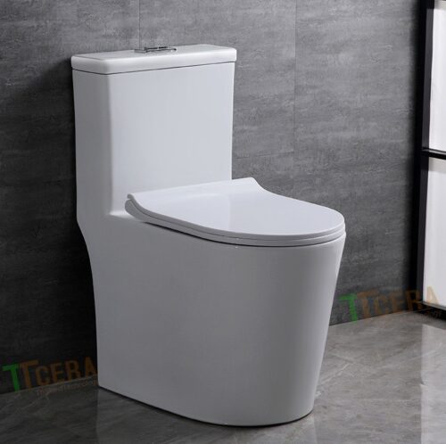 Combo Nhà Vệ Sinh 11 Món 6.05 Triệu TTCERA CBTT01-6050