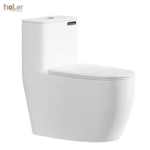Bồn Cầu 1 Khối Holer HLBC251