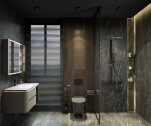 Bồn cầu kiểu ngang 1