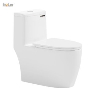 Bồn Cầu 1 Khối Holer HLBC295