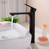 Combo Nhà Vệ Sinh HoLer Germany Trọn Bộ 11 Món CHL11 – 16300S1