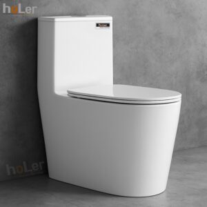 Bồn Cầu 1 Khối Holer HLBC247