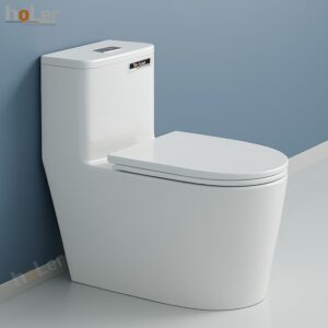 Bồn Cầu 1 Khối Holer HLBC248