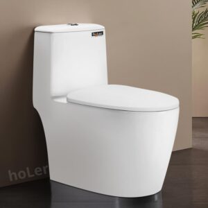 Bồn Cầu 1 Khối Holer HLBC278