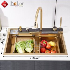 Combo Chậu Rửa Chén Kèm Vòi Mạ Vàng 5 Phím Hiển Thị Nhiệt Độ HOLER HLCRNN729-7546