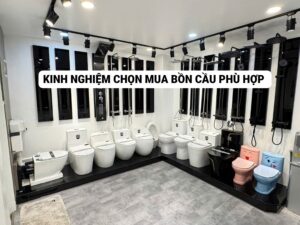 Kinh nghiệm chọn mua bồn cầu tốt, phù hợp nhu cầu sử dụng