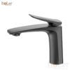 Vòi Lavabo Nóng Lạnh Đồng Sơn Tĩnh Điện Xám HoLer HL-LB683G